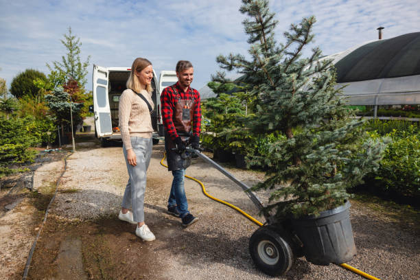 Best Lawn Grading and Leveling  in Falfurrias, TX